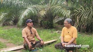 Sejumput Kisah Sukses PSR Amri Limbong