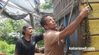 Sepenggal Kisah Sopir Truk Sawit Rantau Panjang