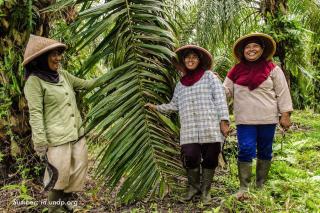 Soal Ramah Anak dan Pro Perempuan dalam Industri Sawit, GAPKI Terus Dorong Kolaborasi Multipihak