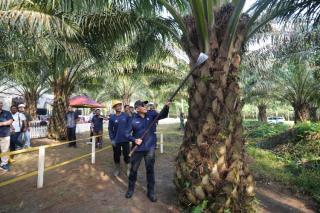 PTPN IV PalmCo Perkuat Sektor Sawit Rakyat Sekaligus Mendukung Ketahanan Pangan Nasional 