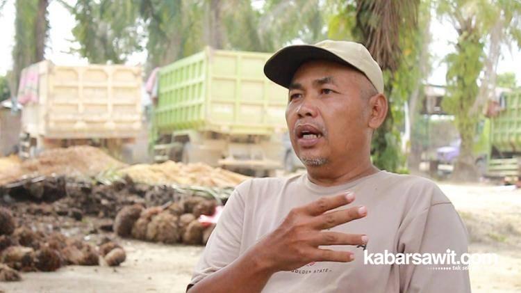 Sopir Truk Sawit Bernama Ahmad Misri