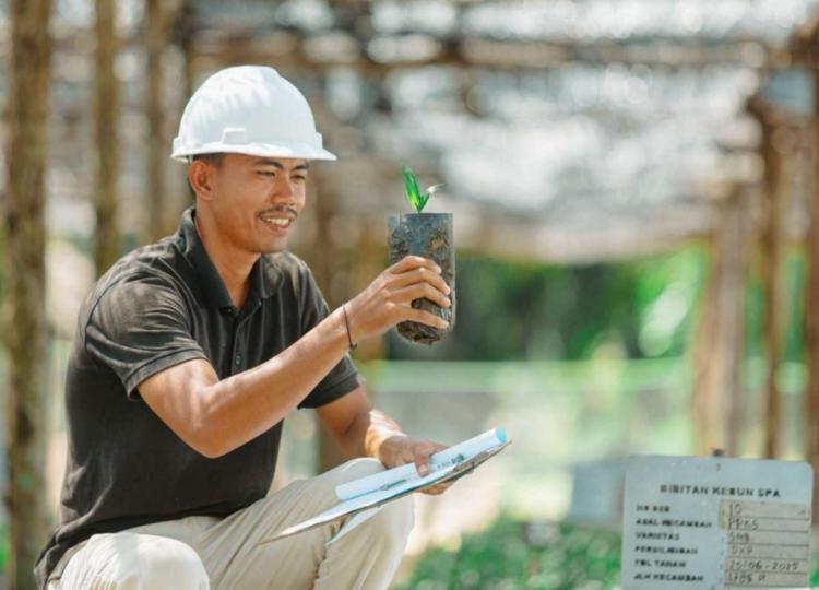 Ingin Bermanfaat bagi Masyarakat di Wilayah Operasional, PTPN IV Regional III Serap 2.548 Tenaga Kerja Lokal
