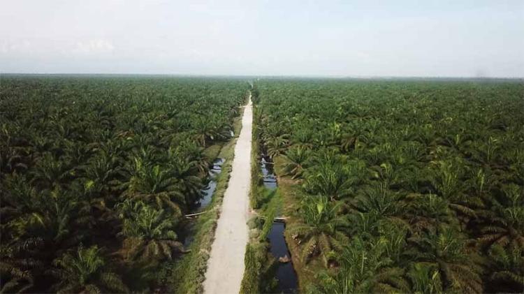 Soal Audit dan Pengukuran Ulang HGU di Aceh, Fadhli: Banyak Pihak Menilai Saatnya Pemerintah Bertindak Konkret