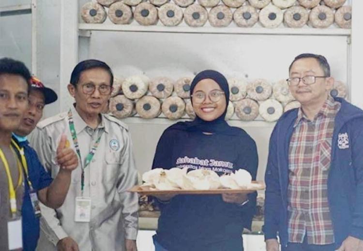 Ada Inovasi Baru Bernama Jamur Tiram Sawit, yang Dinilai Bisa Menjawab dua Persoalan Utama Bangsa