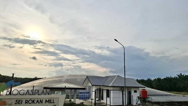Awal November 2025, PTBg Sei Rokan Milik PTPN IV Regional III Resmi Beroperasi