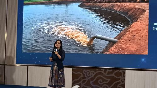 Di Tengah Isu Keberlanjutan Soal Sawit, Inovasi Helen Julia Terasa seperti Secercah Harapan Baru