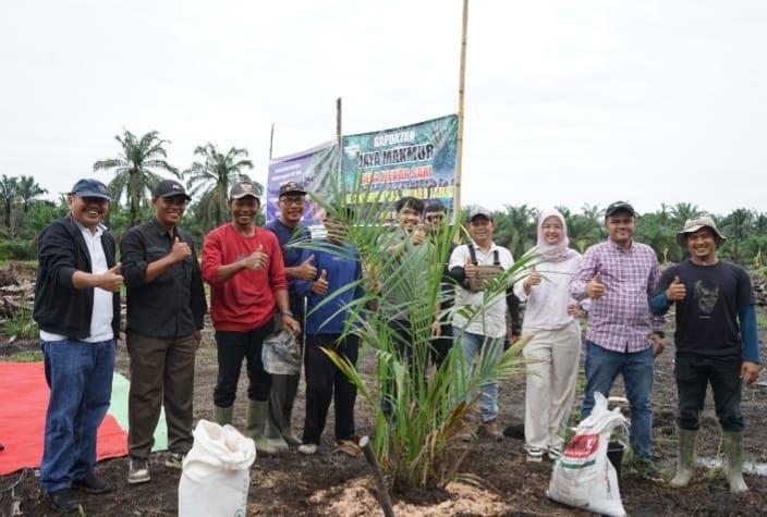Bermitra dengan Gapoktan Jaya Makmur, PTPN IV Regional 4 Mulai Tanam Perdana Sawit PSR