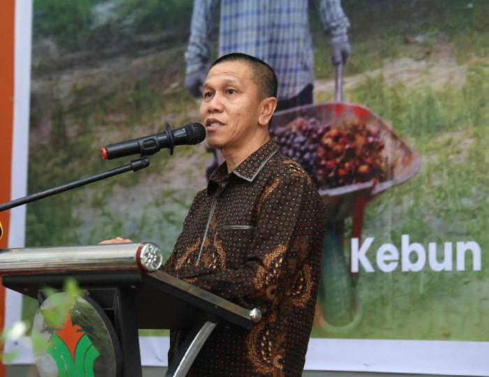 Sudah Segini Luas Lahan Sawit di Riau yang Lulus Rekomtek untuk Pengajuan PSR ke BPDP