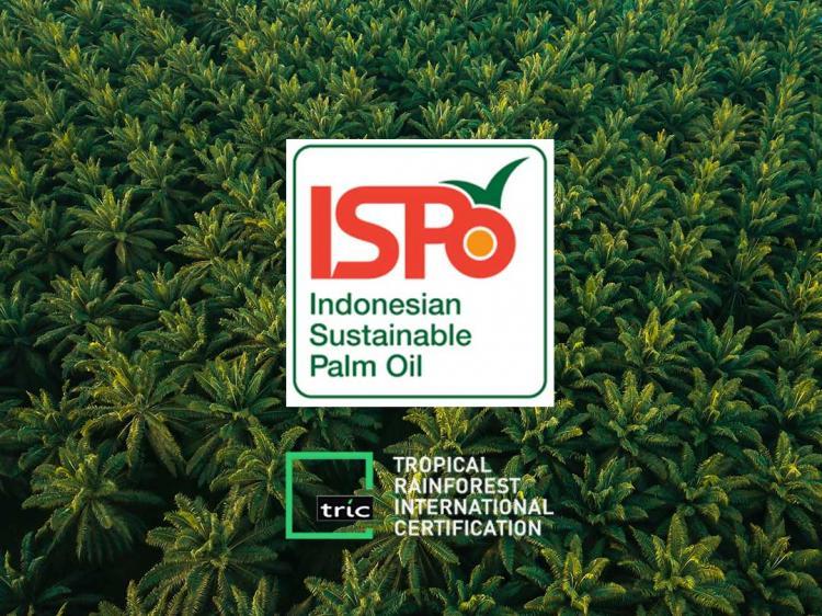 Permentan 33/2025 Resmi Dirilis, Dinilai Awal Perubahan Besar terhadap Ketentuan ISPO