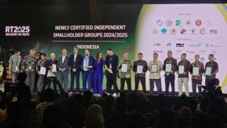 Raih RSPO, PPSK Ketapang Buktikan Petani Kecil juga Mampu Tampil di Level Global