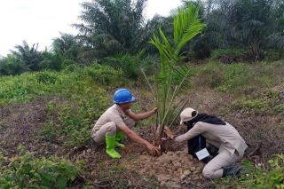 Industri Sawit Berkelanjutan Tidak Hanya Soal Bagaimana Petani Menanam dan Memanen Sawit