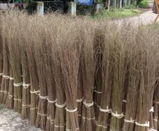 Ditengarai Kurang Inovasi, Ekspor Lidi Sawit Indonesia Beri Sinyal "Bahaya"