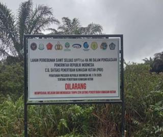 Dukung Penataan Ruang-Kelestarian Lingkungan, Apkasindo: yang Terjadi Belakangan Membuat Petani Kecil Makin Terjepit 