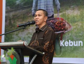 Sudah Segini Luas Lahan Sawit di Riau yang Lulus Rekomtek untuk Pengajuan PSR ke BPDP