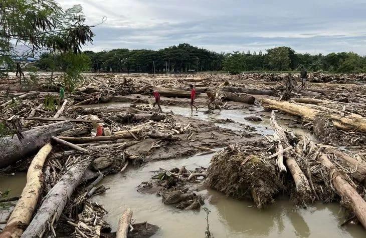 Sawit Dituding Penyebab Banjir Sumatera, Prof Budi: Penting Dilakukan Kajian Berbasis Data Akurat 