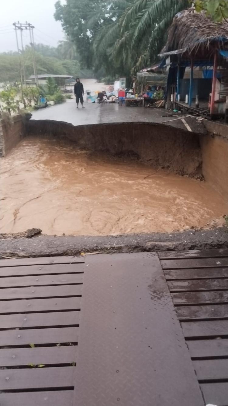 Derita Petani Aceh Tenggara Pascabencana: Sawit Sudah Bisa Dipanen, Terkendala Angkutan ke PKS