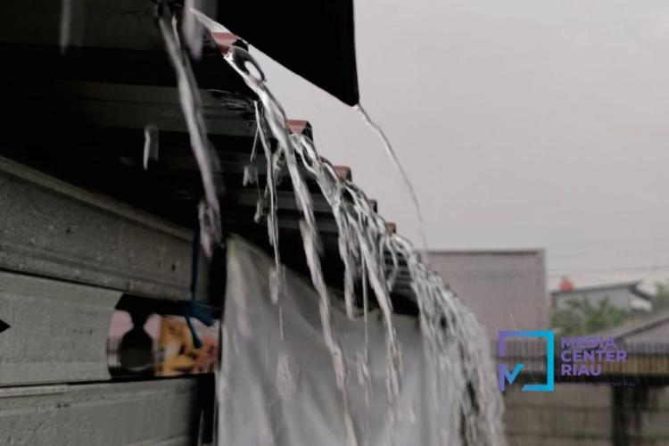 Terkait Cuaca, Awal 2026 Kebun Sawit Seperti Sedang Diuji