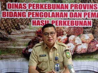 Dipicu CPO, Harga Sawit Mitra Swadaya Riau Anjlok