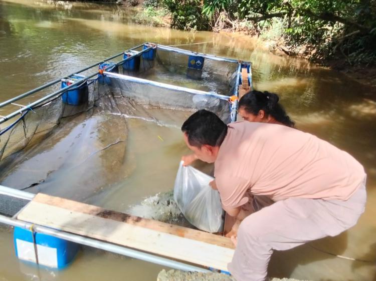 Gandeng PTPN IV Regional III, Pemuda Tandun Rohul Manfaatkan Sungai Tapung sebagai Sumber Pendapatan