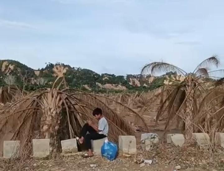 Ratusan Hektar Kebun Sawit di Aceh Tamiang Terdampak Banjir Sumatera, Dua Kecamatan Ini Terparah