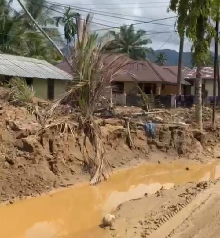 Menyakitkan, Akibat Banjir dan Longsor yang Melumpuhkan Akses Jalan, Harga Sawit di Tapteng Tersisa Segini