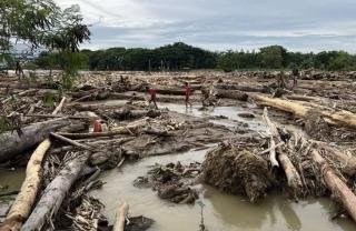 Sawit Dituding Penyebab Banjir Sumatera, Prof Budi: Penting Dilakukan Kajian Berbasis Data Akurat 