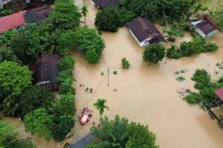 Sawit Watch Ungkap Analisis Soal Banjir Bandang di Pulau Sumatera, Ternyata...