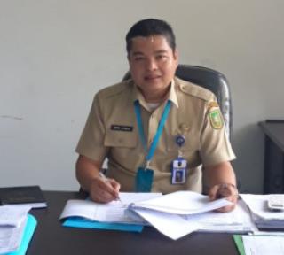 Mengekor Plasma, Harga Sawit Mitra Swadaya di Riau juga Naik 