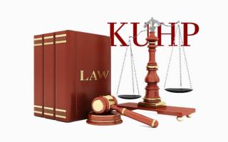 Dalam KUHP Baru, Perusahaan Sawit yang Lalai Bisa Terancam Pengambilalihan Korporasi oleh Negar