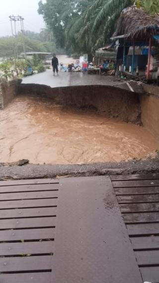 Derita Petani Aceh Tenggara Pascabencana: Sawit Sudah Bisa Dipanen, Terkendala Angkutan ke PKS