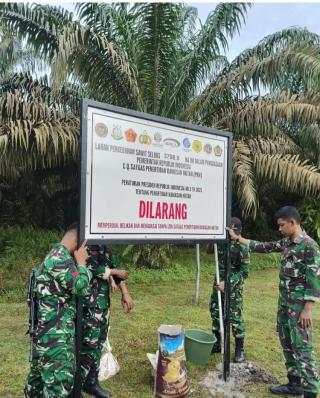 Pakar: Penertiban Kawasan Hutan Perlu Mempertimbangkan Aspek Sosial dan Ekonomi Secara Seimbang