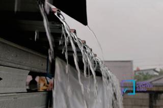 Terkait Cuaca, Awal 2026 Kebun Sawit Seperti Sedang Diuji