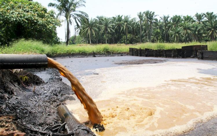 C-Tube, Teknologi Khusus Menangani Sedimentasi POME Secara Lebih Efisien