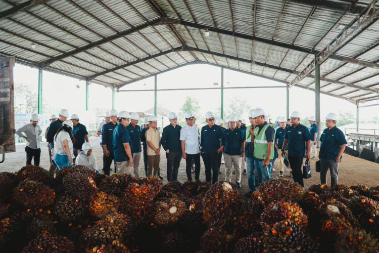 Kunker Perdana ke PalmCo, Ini Pernyataan Petinggi Danantara