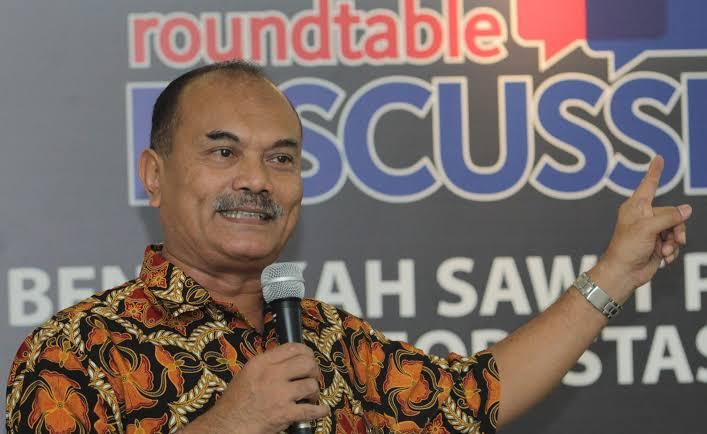 Akademisi IPB: Ekspansi Sawit Bukan Menjadi Penyebab Tunggal Hilangnya Hutan Primer di Indonesia