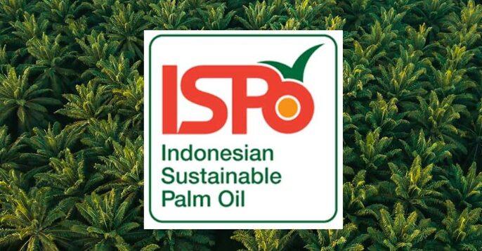 Kepesertaan ISPO Baru Sekitar 1 Persen, BSN Ungkap Faktor Penyebabnya