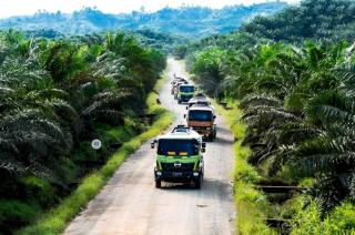 2026, Tahun yang Menjadi Titik Balik bagi Industri Sawit Indonesia