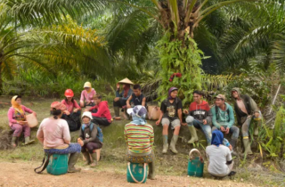 Terkait Denda Sawit, Pakar Hukum Ini Berharap Presiden Prabowo Mengambil Langkah Korektif