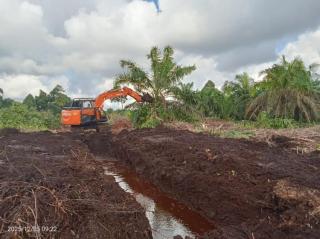 Jauh di Atas Rata-rata Nasional,  Realisasi PSR 2025 di Riau Hampir 50 Persen