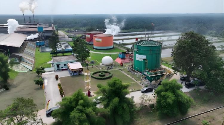 Bangun 16 Pabrik CBG, PTPN IV PalmCo Bersiap Melakukan Ekspansi Masif Mengolah Limbah Cair