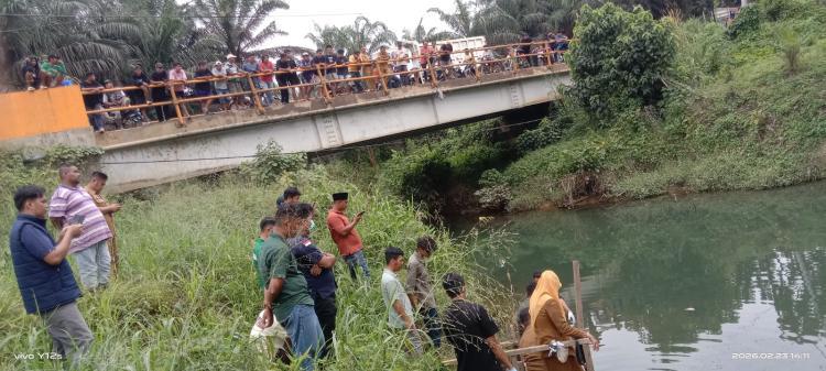 Apkasindo Desak Pemerintah Tindak Tegas PT SKA, Ini Alasannya