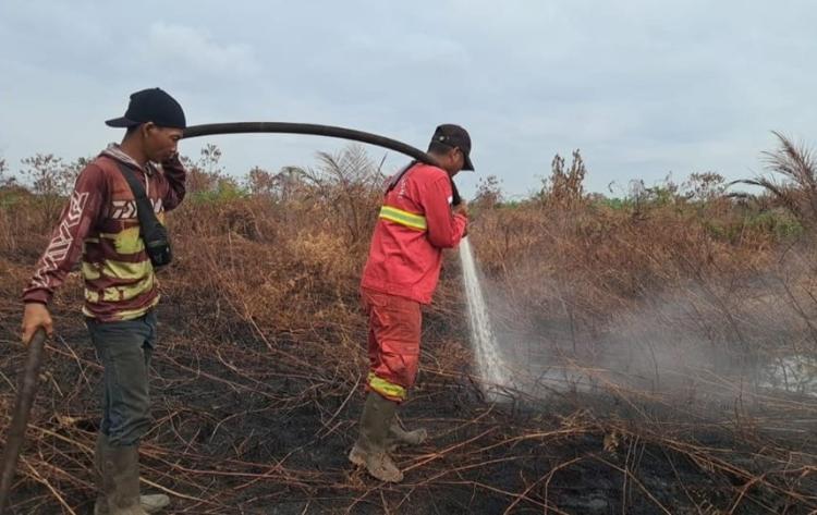 Saat Ribuan Napas "Tergantung" pada Kecakapan dan Ketangguhan Manggala Agni Menangani Karhutla ...