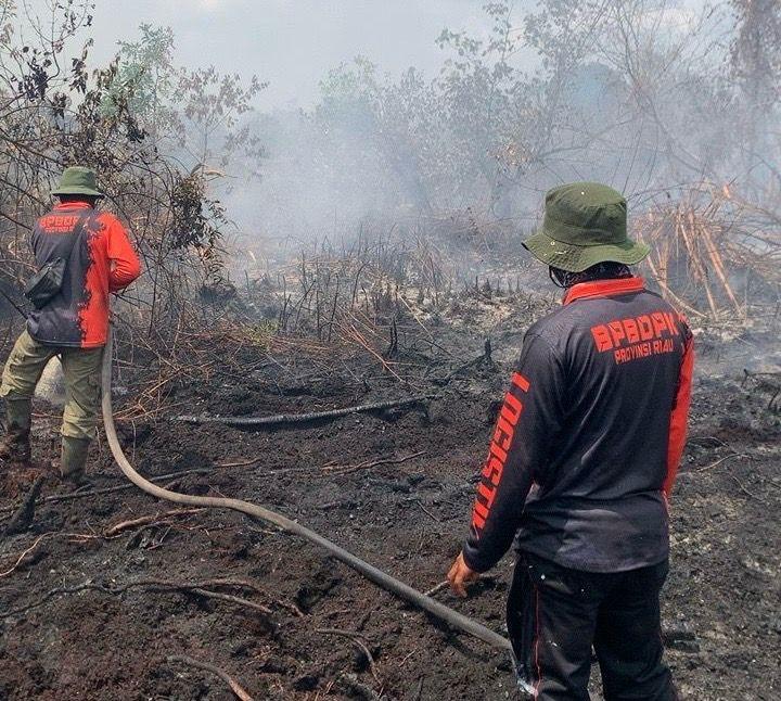 Tim Gabungan Berjibaku Padamkan Api di 3 Kabupaten di Riau