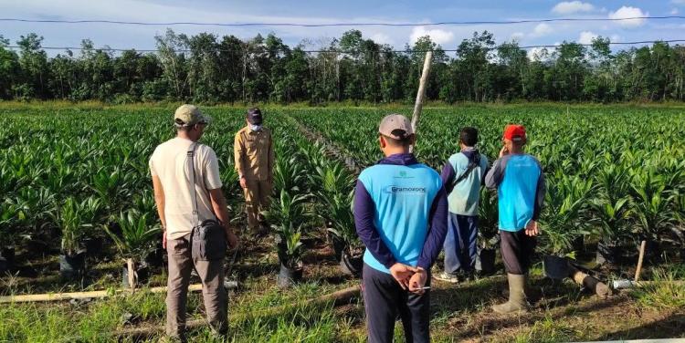 Dukung Percepatan Hilirisasi Sawit, Apkasindo Kalbar: Terobosan Strategis yang Bermanfaat bagi Petani