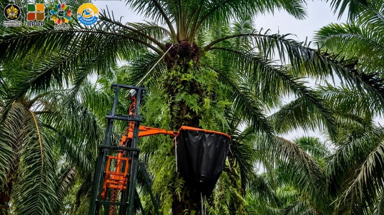 Diperkenalkan, Mesin Panen Kelapa Sawit