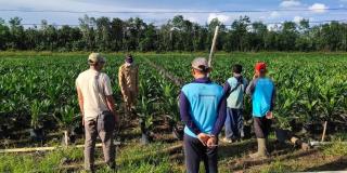 Dukung Percepatan Hilirisasi Sawit, Apkasindo Kalbar: Terobosan Strategis yang Bermanfaat bagi Petani