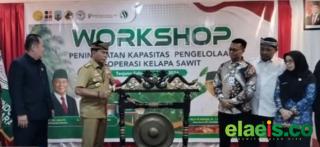 Apkasindo Kaltara Gelar Pelatihan untuk Sejumlah Pengurus Koperasi Sawit