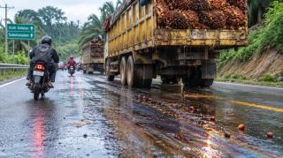 Serius, Persoalan Jalan Lintas Aceh Selatan yang Licin Gegara Ceceran Minyak Berondolan Sawit