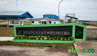 Berkapasitas Besar, 3 PKS Petani Sawit di Muba Segera Operasional