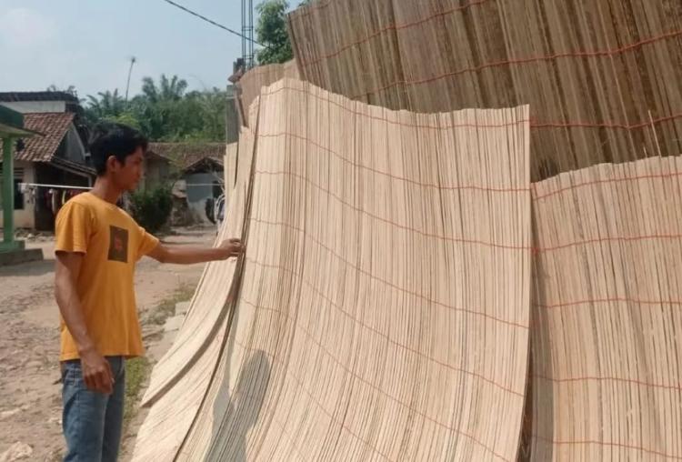 Permintaan Melonjak Tajam, Pengepul Krey di Lebak Ini Mengaku Bukukan Omzet Rp60 Juta/Pekan